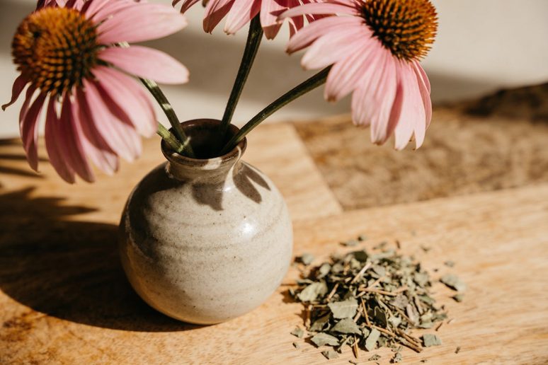 Cut echinacea flowers in a vase