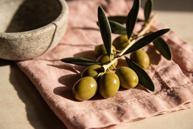 Olives on a cut branch